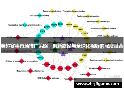英超赛事市场推广策略：创新路径与全球化视野的深度融合