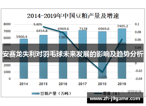 安赛龙失利对羽毛球未来发展的影响及趋势分析