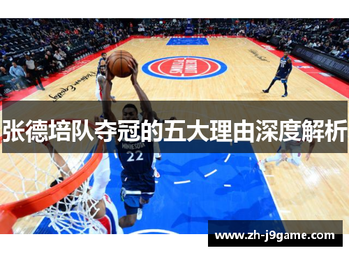 张德培队夺冠的五大理由深度解析
