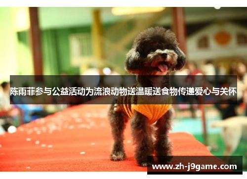 陈雨菲参与公益活动为流浪动物送温暖送食物传递爱心与关怀